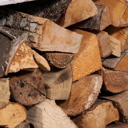 度假居 Skiurlaub Und Wanderurlaub Am Katschberg Almchalet Am Katschberg By Fewo-planlan 卡奇山口